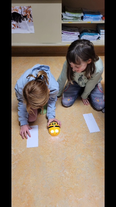 2025 Bilder VS Handenberg BeeBots 2